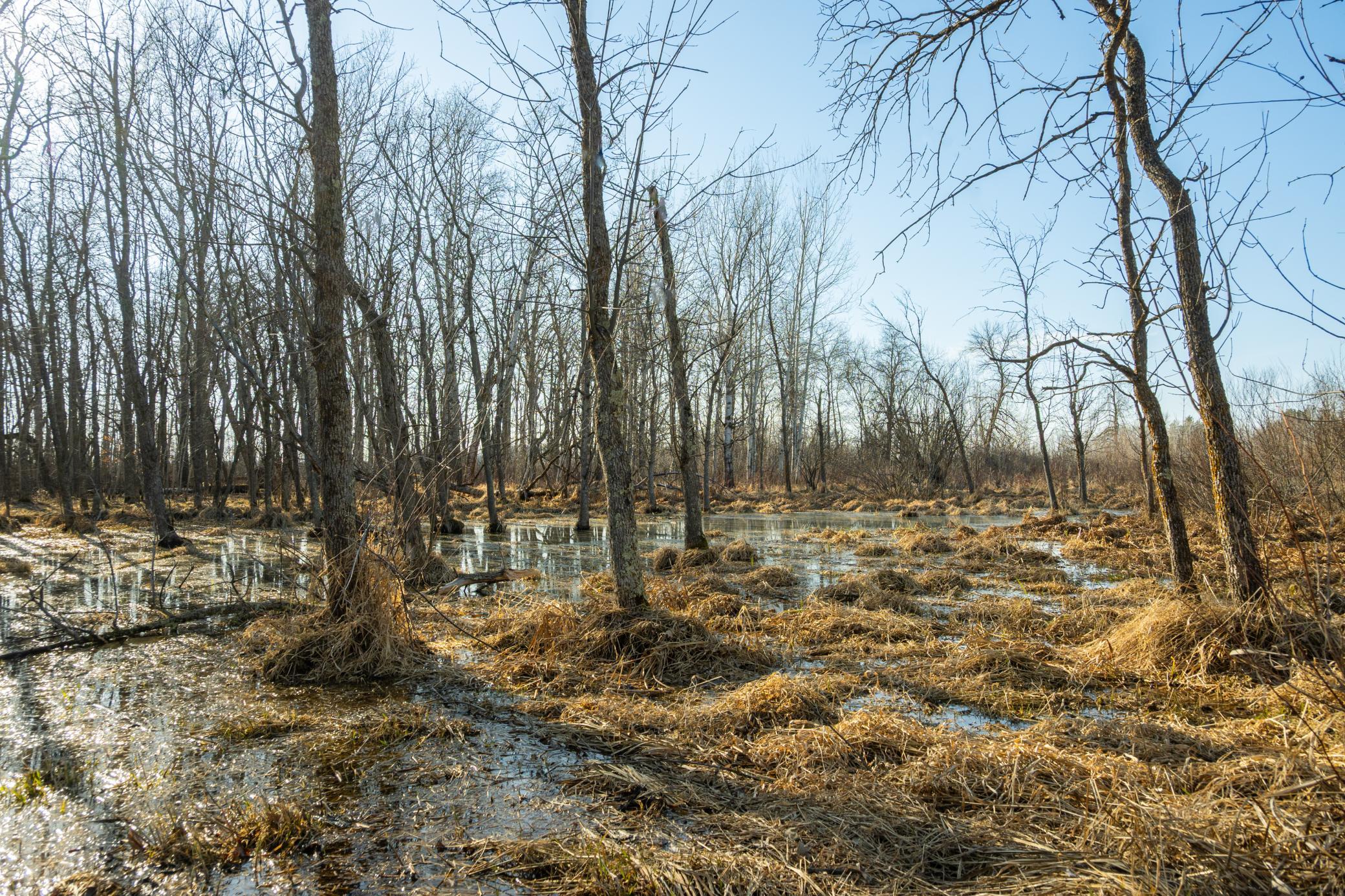 Tbd 73rd Street Hillman, MN 56338 - Photo 47 of 57