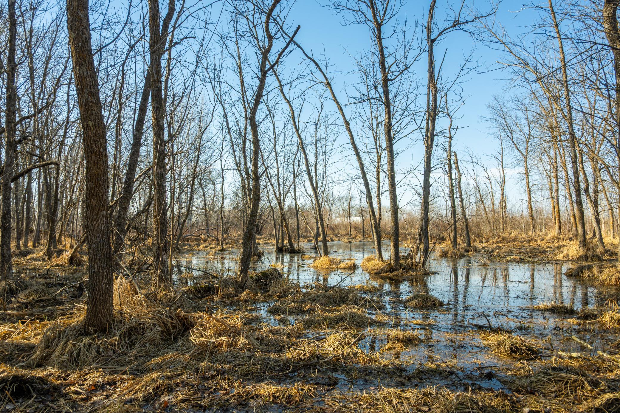 Tbd 73rd Street Hillman, MN 56338 - Photo 48 of 57