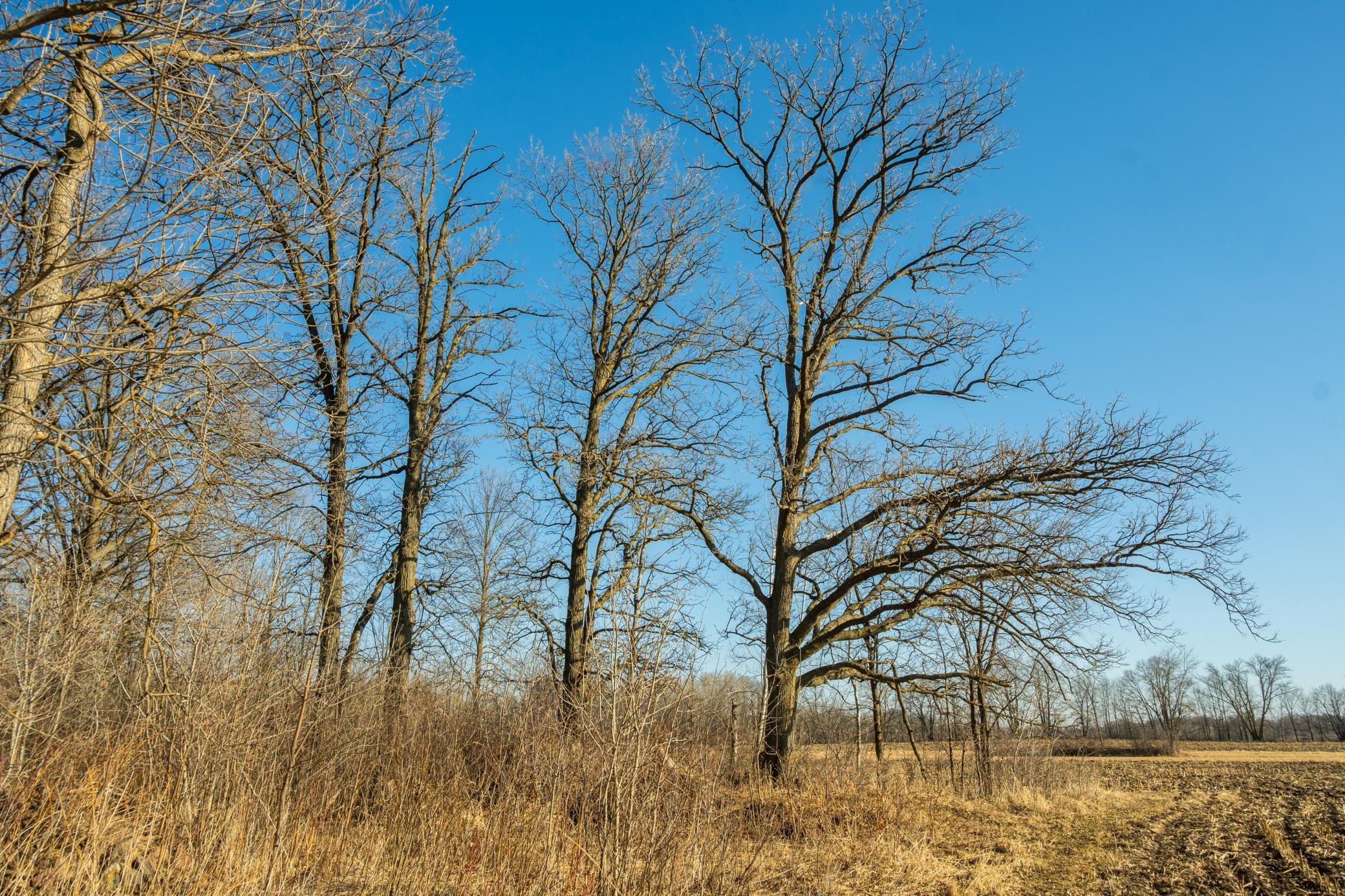 Tbd 73rd Street Hillman, MN 56338 - Photo 49 of 57