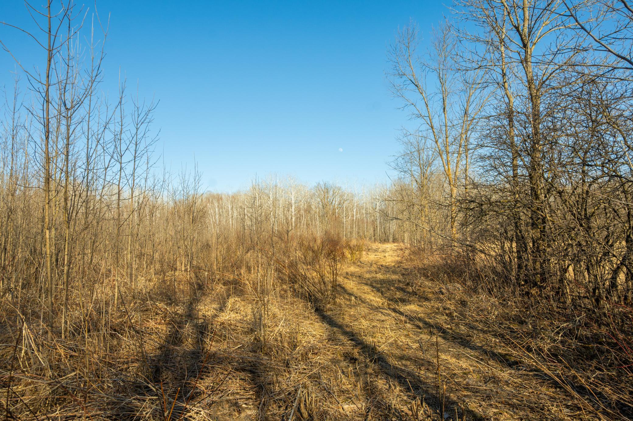 Tbd 73rd Street Hillman, MN 56338 - Photo 50 of 57