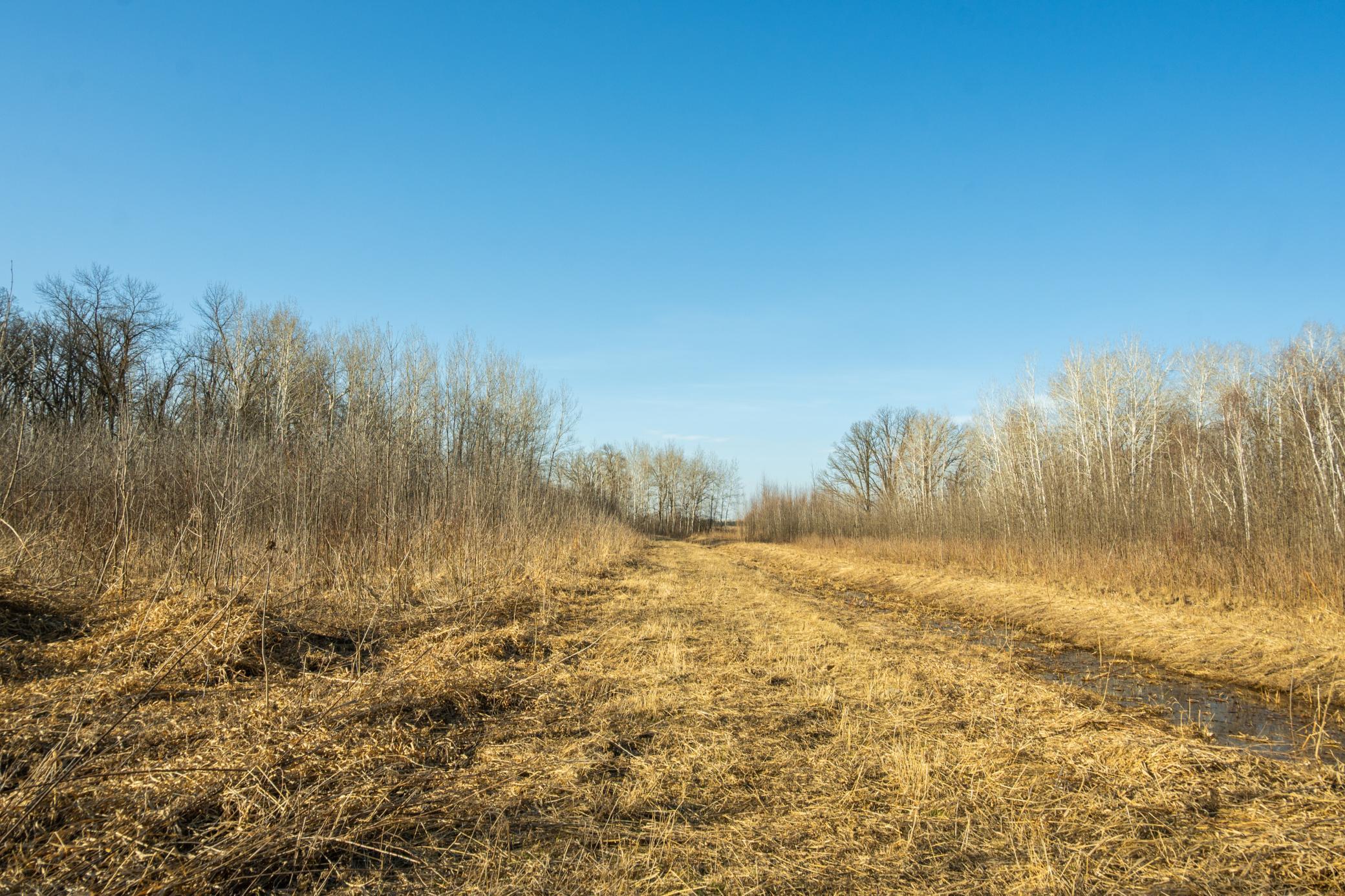 Tbd 73rd Street Hillman, MN 56338 - Photo 51 of 57