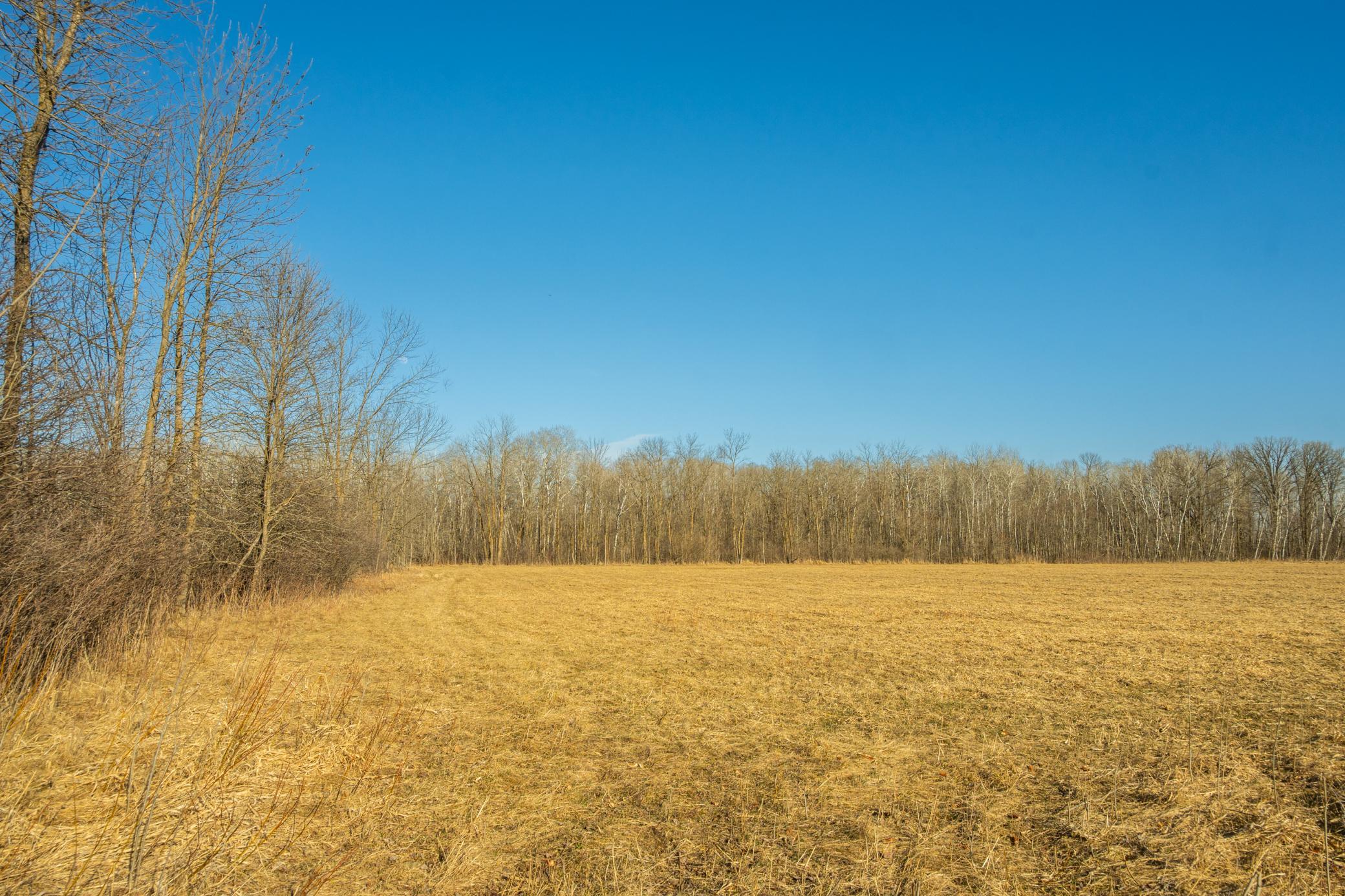 Tbd 73rd Street Hillman, MN 56338 - Photo 52 of 57