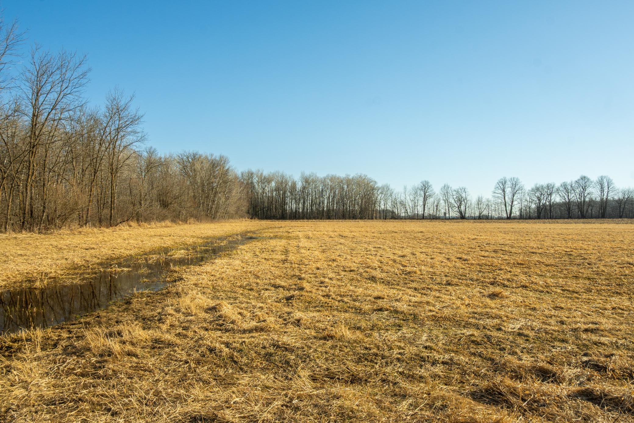 Tbd 73rd Street Hillman, MN 56338 - Photo 53 of 57