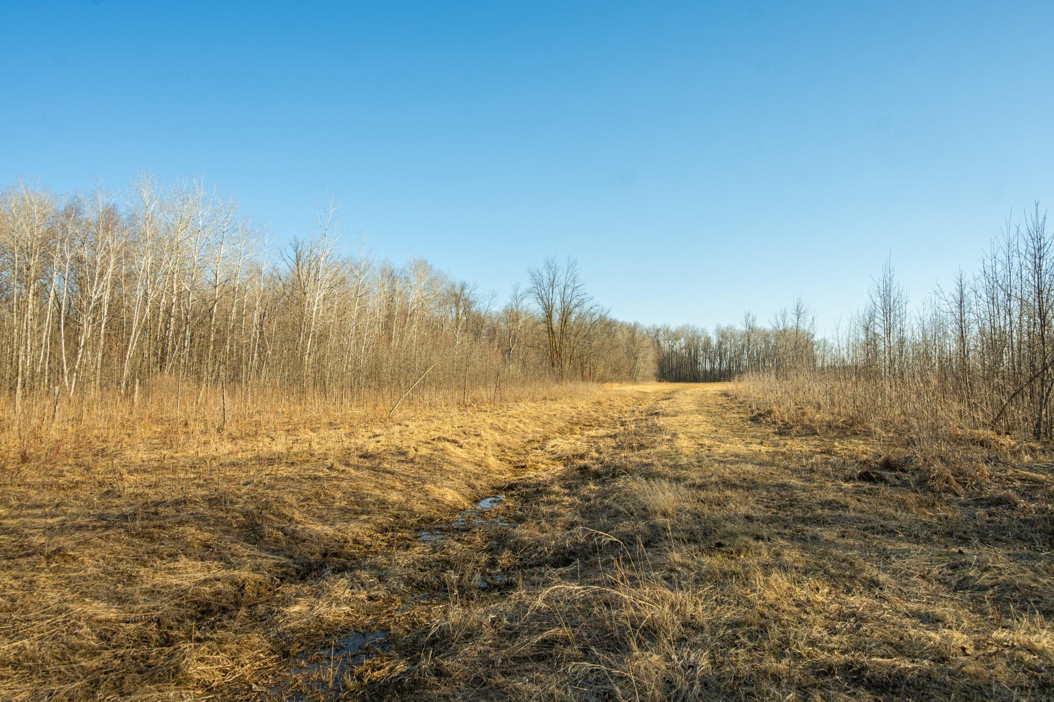 Tbd 73rd Street Hillman, MN 56338 - Photo 54 of 57