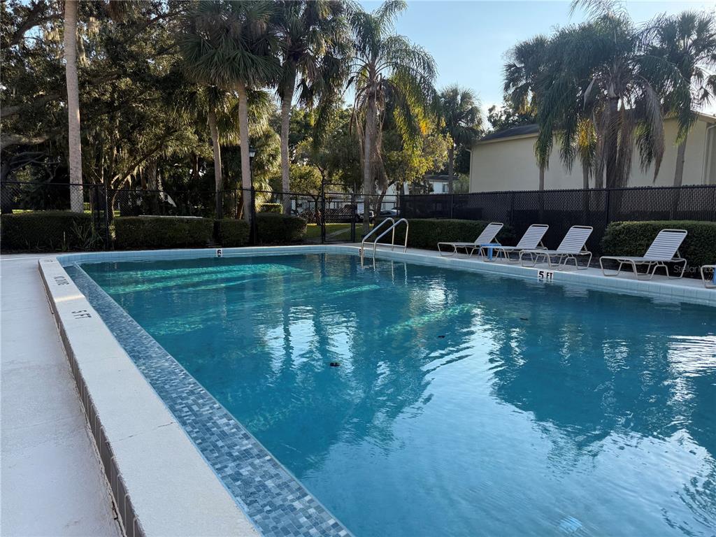 208 Palmetto Court, Unit 208 Oldsmar, FL 34677 - Photo 43 of 48 a view of a lake with a house