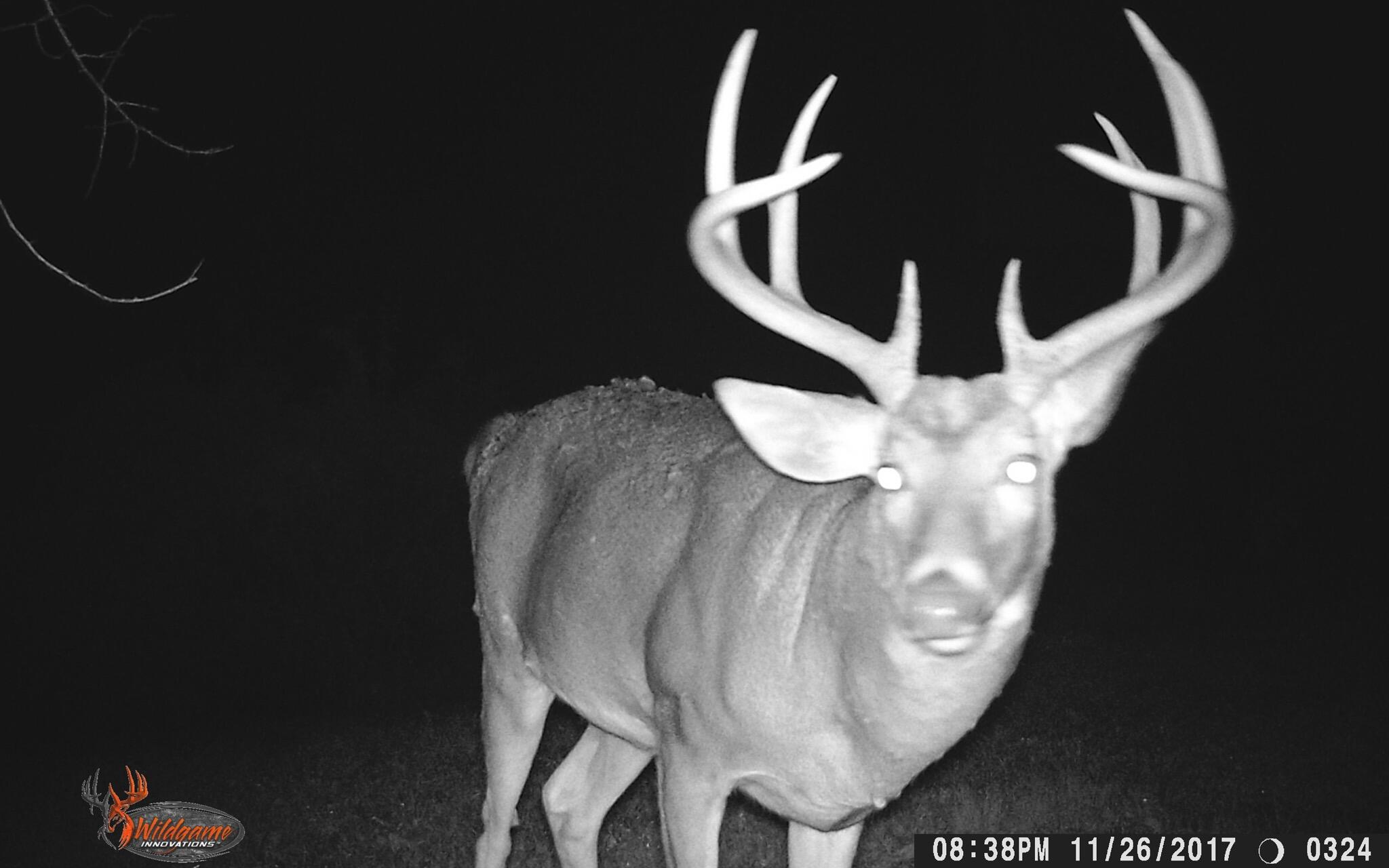 580 Skunk Hollow Road La Crescent, MN 55947 - Photo 78 of 83 Trail Cam