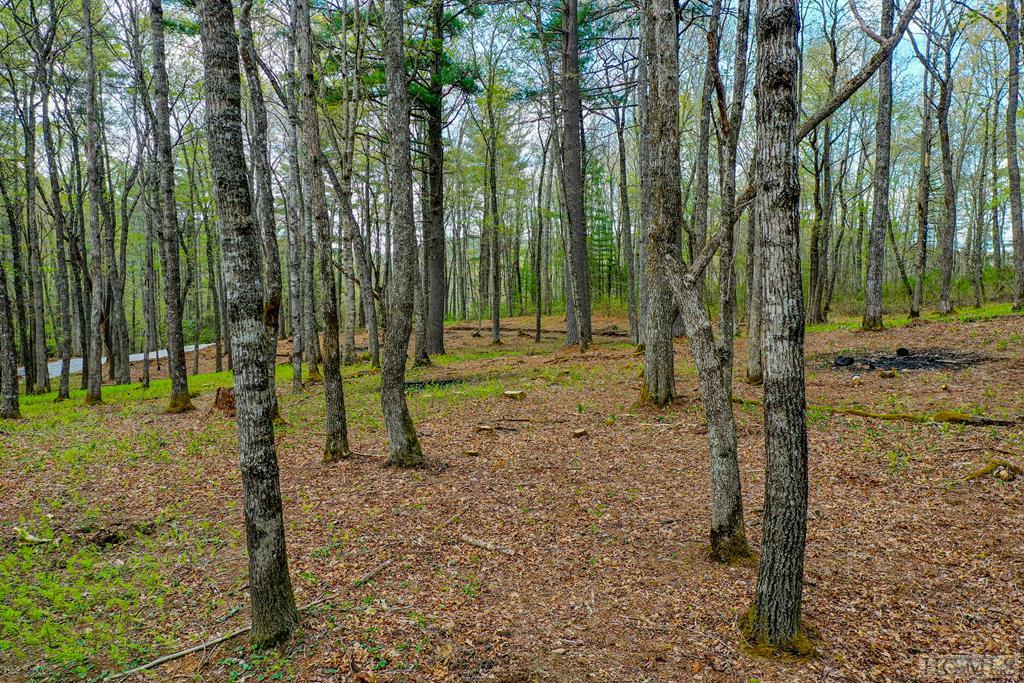 0 Jodytown Road Cashiers, NC 28717 - Photo 8 of 22 Gallery Image 8
