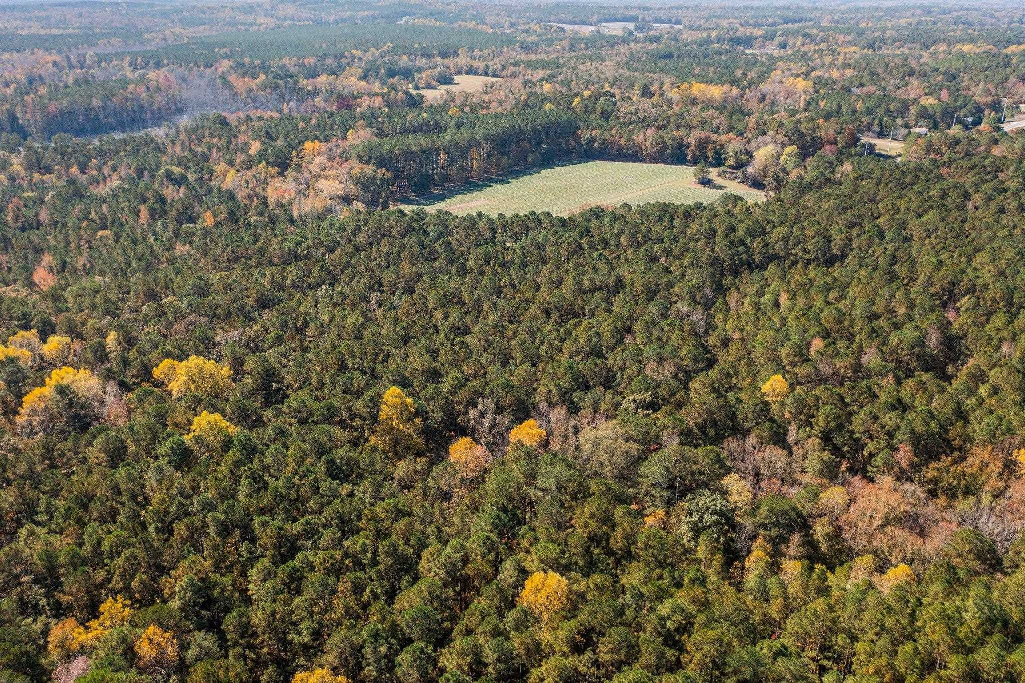 0 Thompson Road Bunnlevel, NC 28323 - Photo 11 of 18 Photo 11