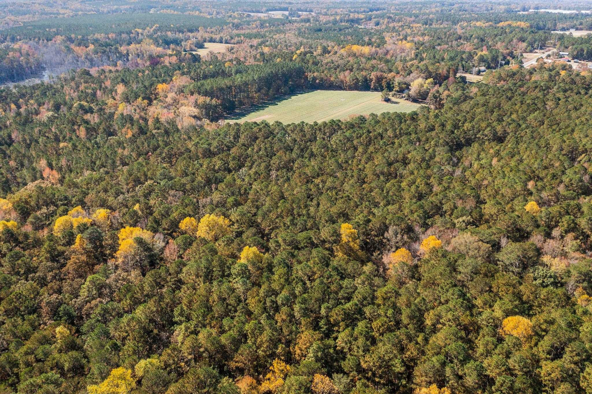0 Thompson Road Bunnlevel, NC 28323 - Photo 12 of 18 Photo 12