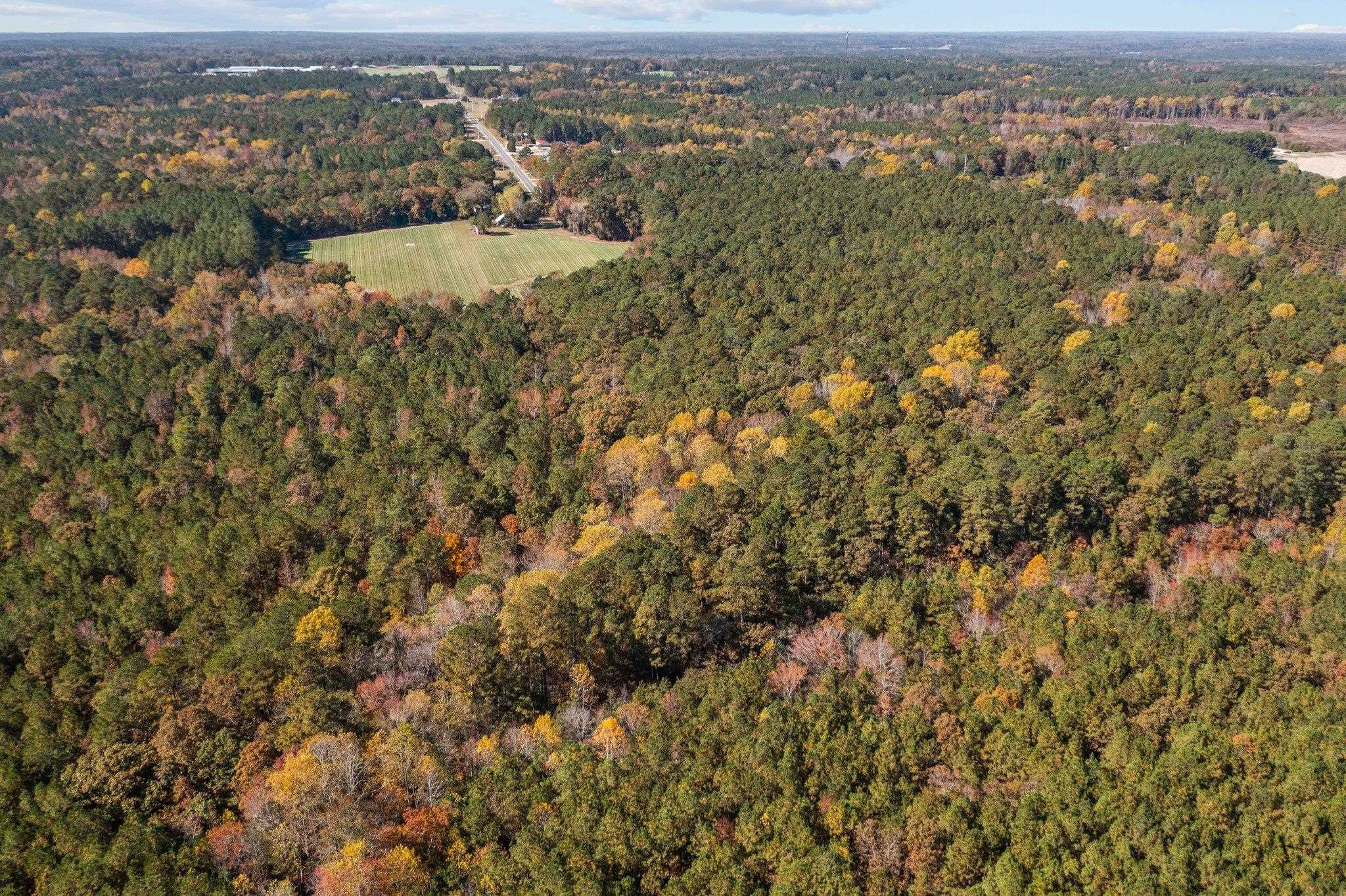 0 Thompson Road Bunnlevel, NC 28323 - Photo 13 of 18 Photo 13