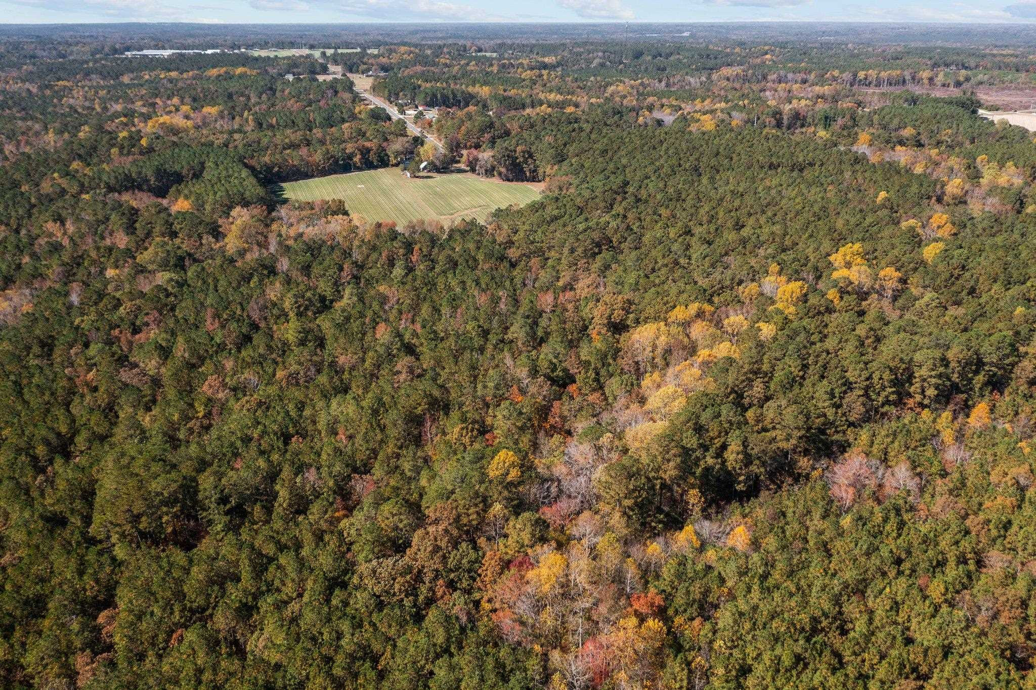 0 Thompson Road Bunnlevel, NC 28323 - Photo 14 of 18 Photo 14