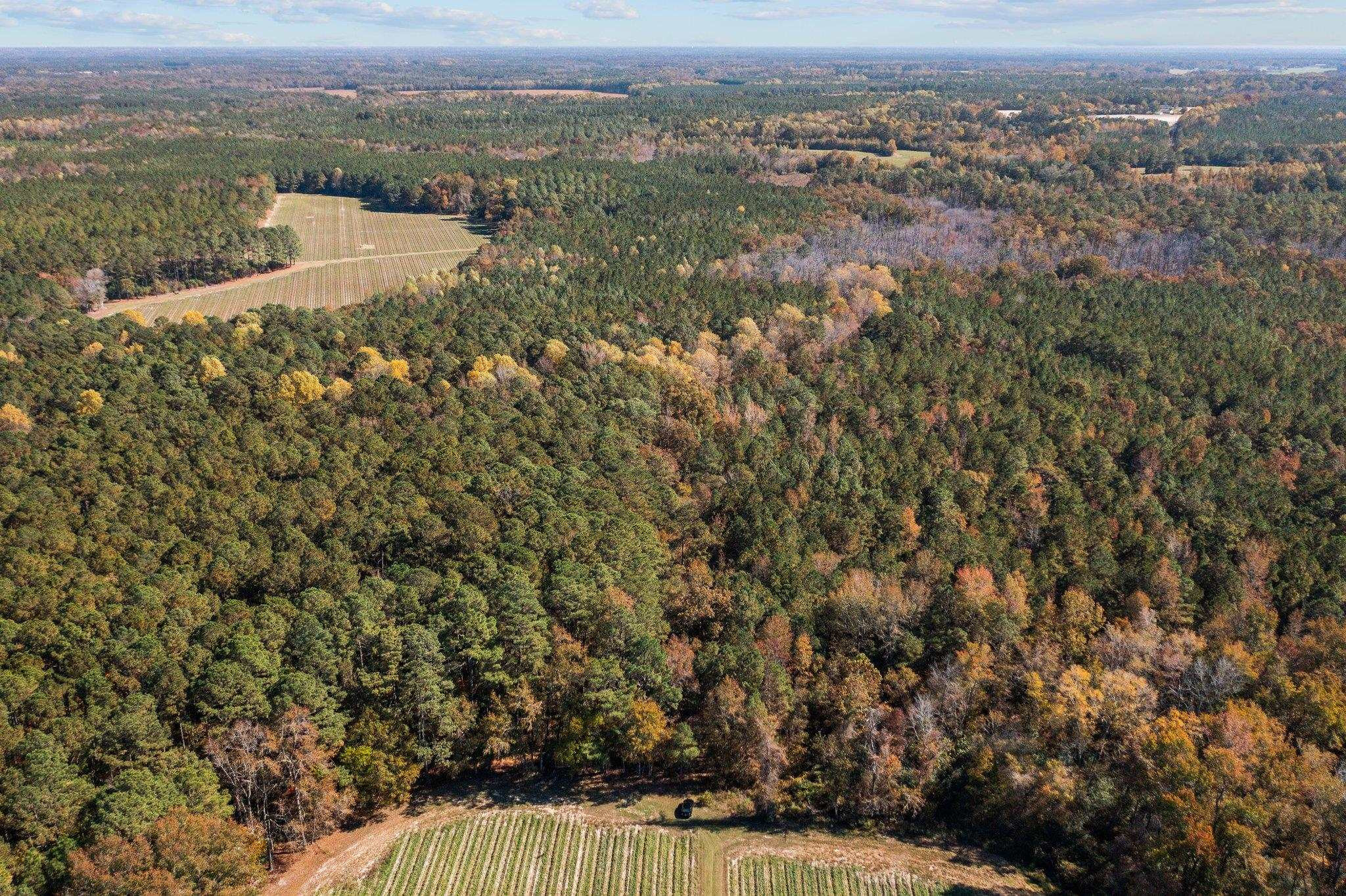0 Thompson Road Bunnlevel, NC 28323 - Photo 15 of 18 Photo 15