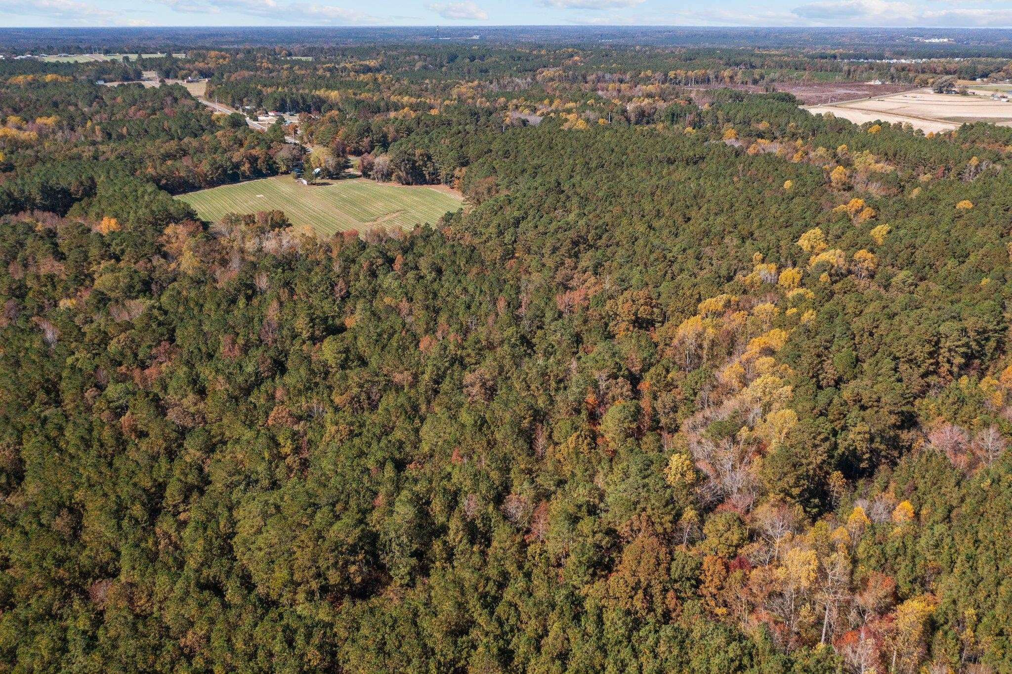 0 Thompson Road Bunnlevel, NC 28323 - Photo 16 of 18 Photo 16