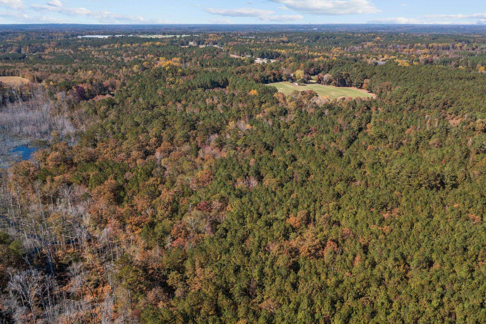 0 Thompson Road Bunnlevel, NC 28323 - Photo 17 of 18 Photo 17