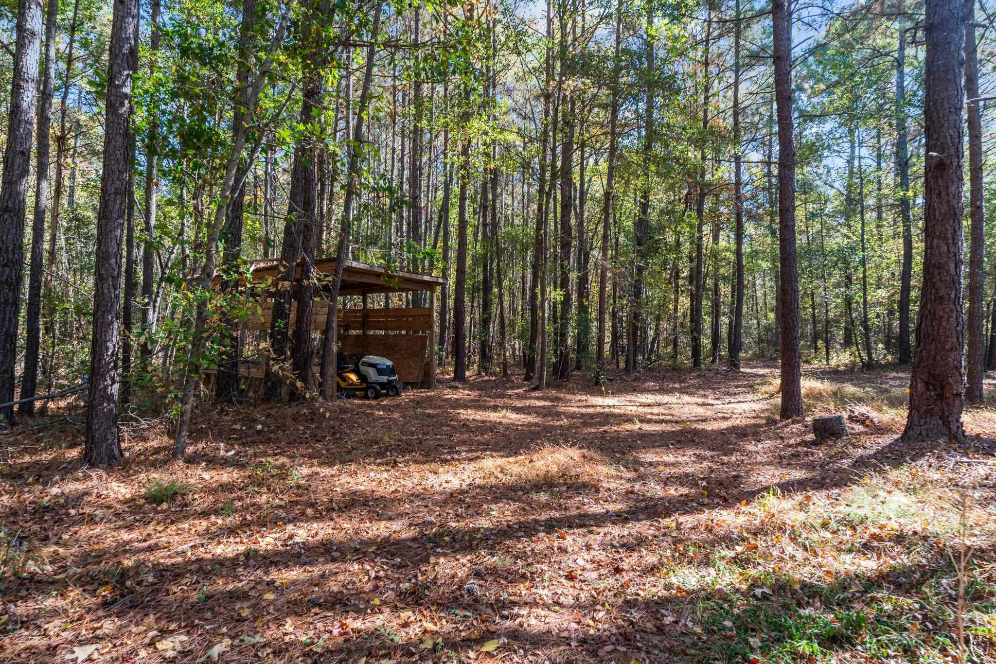 0 Thompson Road Bunnlevel, NC 28323 - Photo 3 of 18 Photo 3