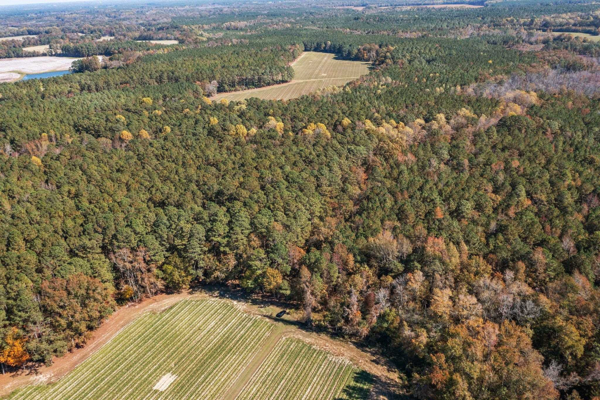 0 Thompson Road Bunnlevel, NC 28323 - Photo 4 of 18 Photo 4