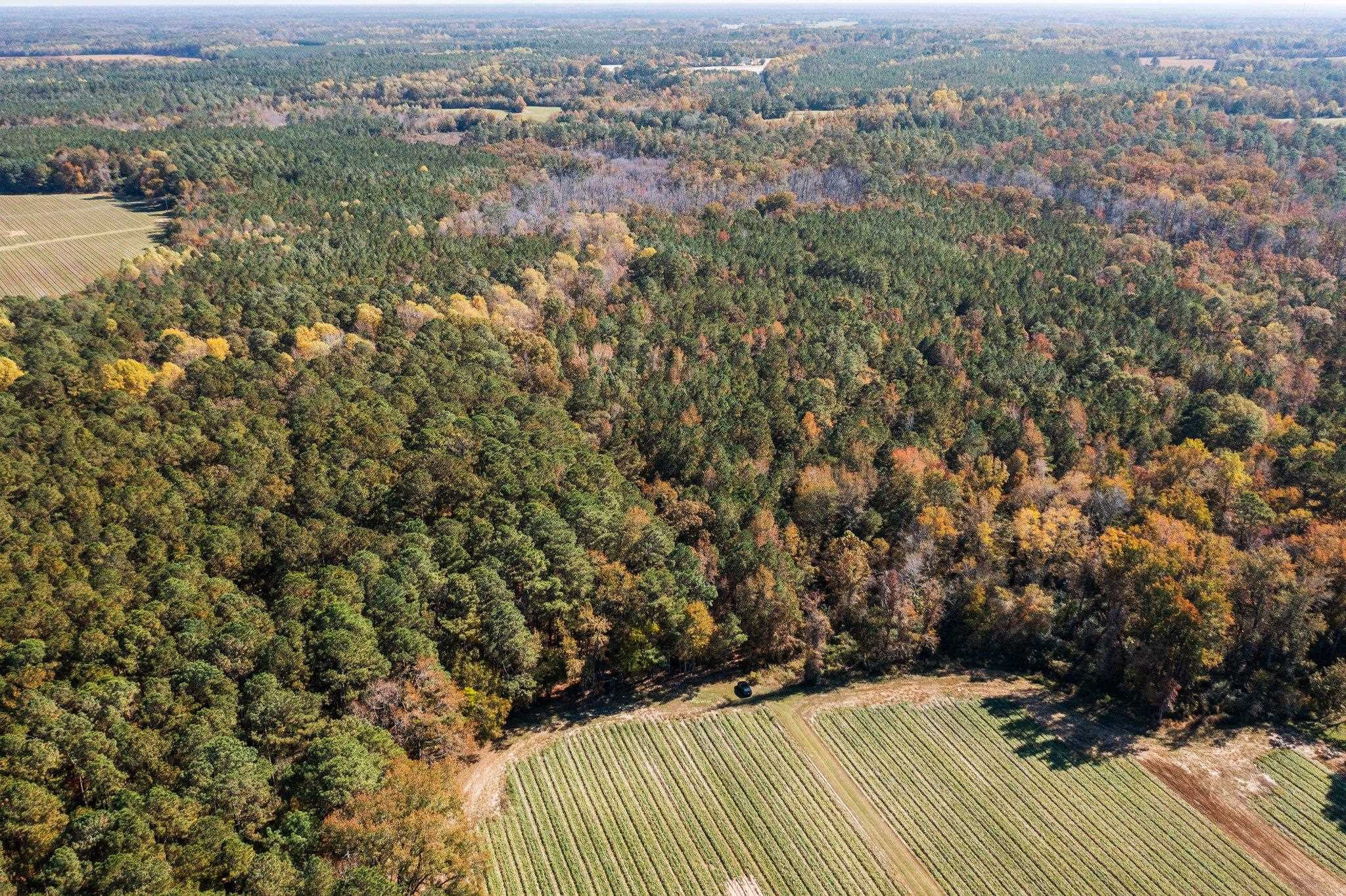 0 Thompson Road Bunnlevel, NC 28323 - Photo 5 of 18 Photo 5