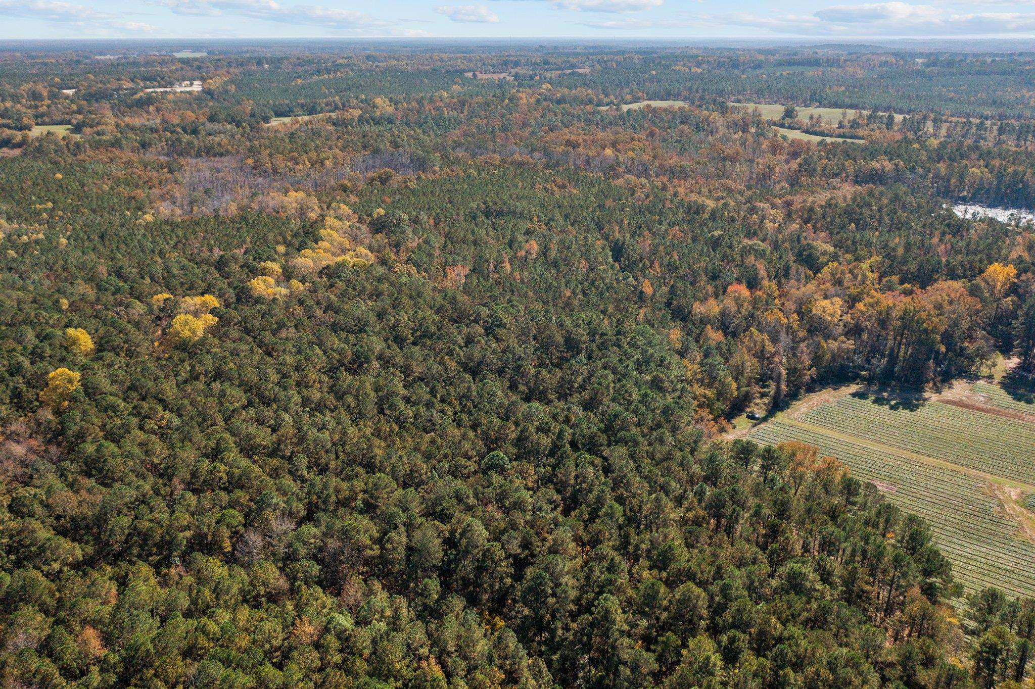 0 Thompson Road Bunnlevel, NC 28323 - Photo 7 of 18 Photo 7