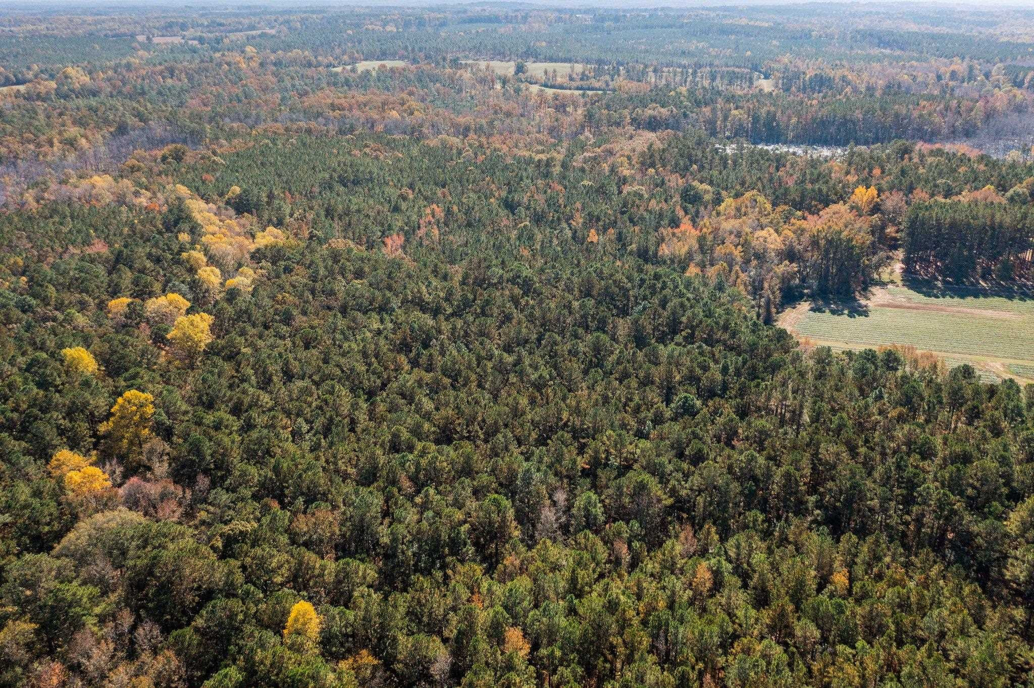 0 Thompson Road Bunnlevel, NC 28323 - Photo 8 of 18 Photo 8