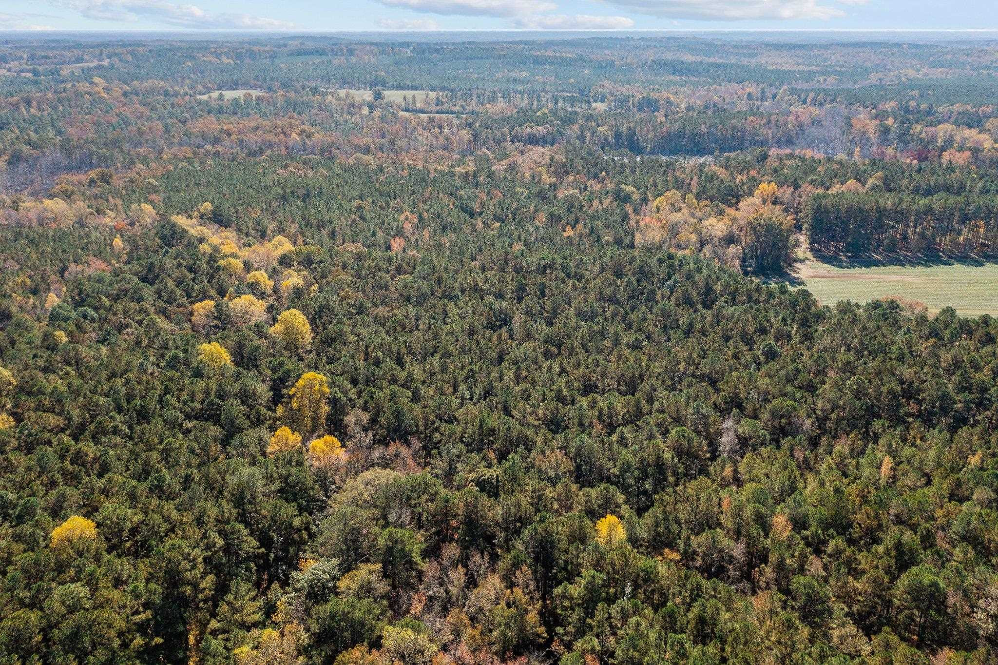 0 Thompson Road Bunnlevel, NC 28323 - Photo 9 of 18 Photo 9