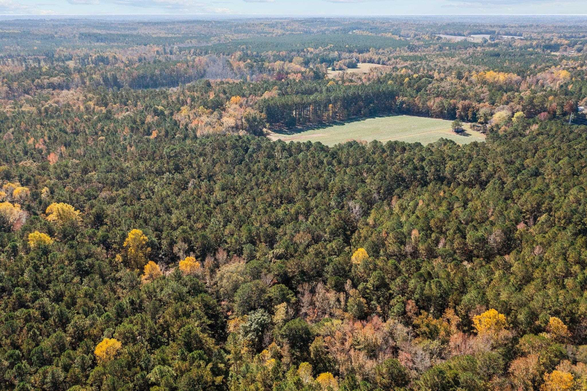 0 Thompson Road Bunnlevel, NC 28323 - Photo 10 of 18 Photo 10