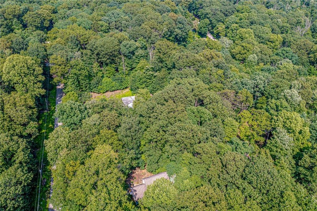 183 Chestnut Ridge Road Acme, PA 15610 - Photo 28 of 29 a view of a forest with a tree