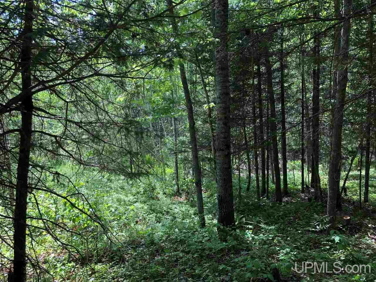 1237 Camp 5 Road Crystal Falls, MI 49920 - Photo 30 of 34 Gallery Image 30