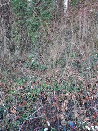 0 Eriksen Place Concrete, WA 98237 - Photo 2 of 2