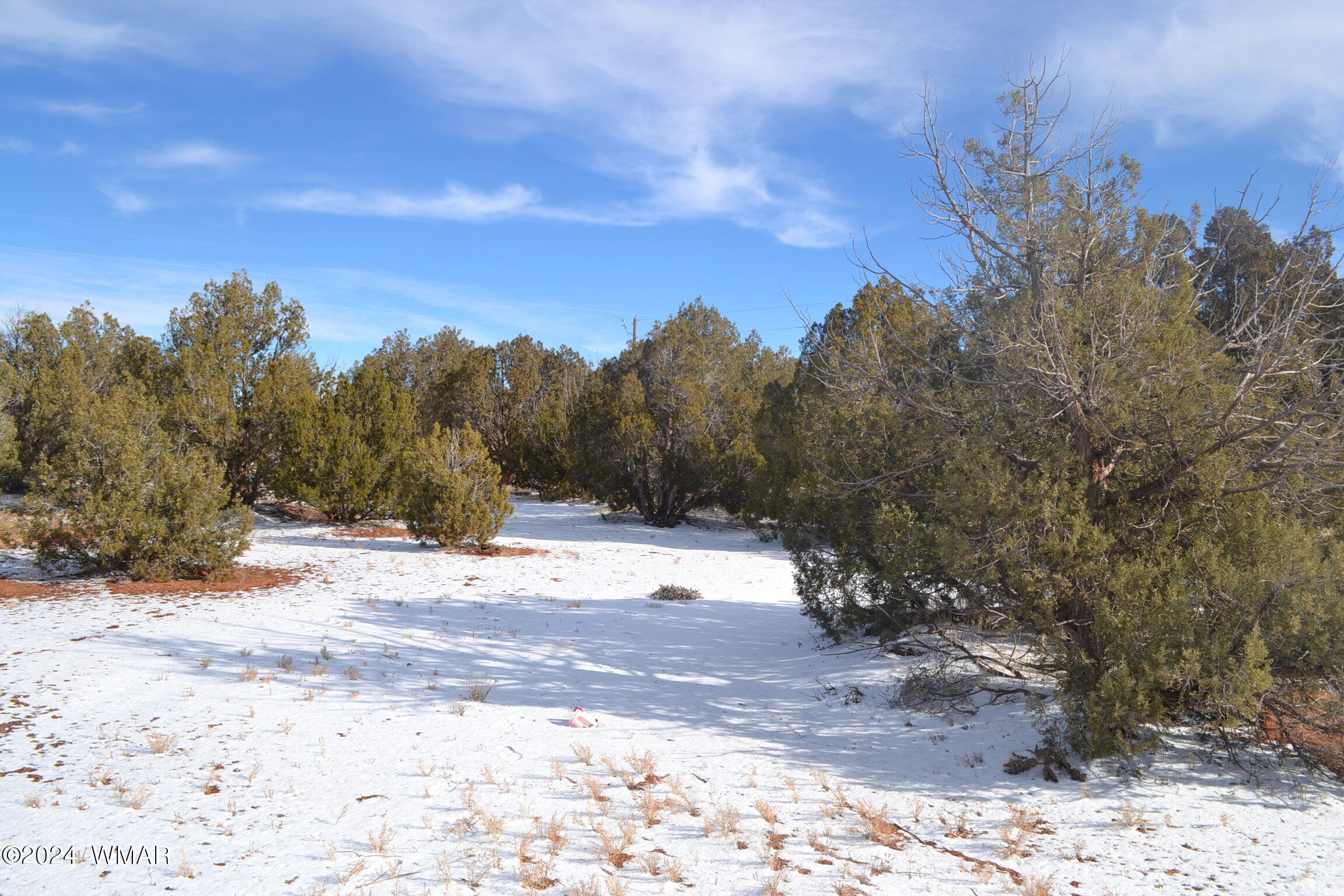 4401 Clydesdale Road Snowflake, AZ 85937 - Photo 1 of 13 a view of a yard with a tree