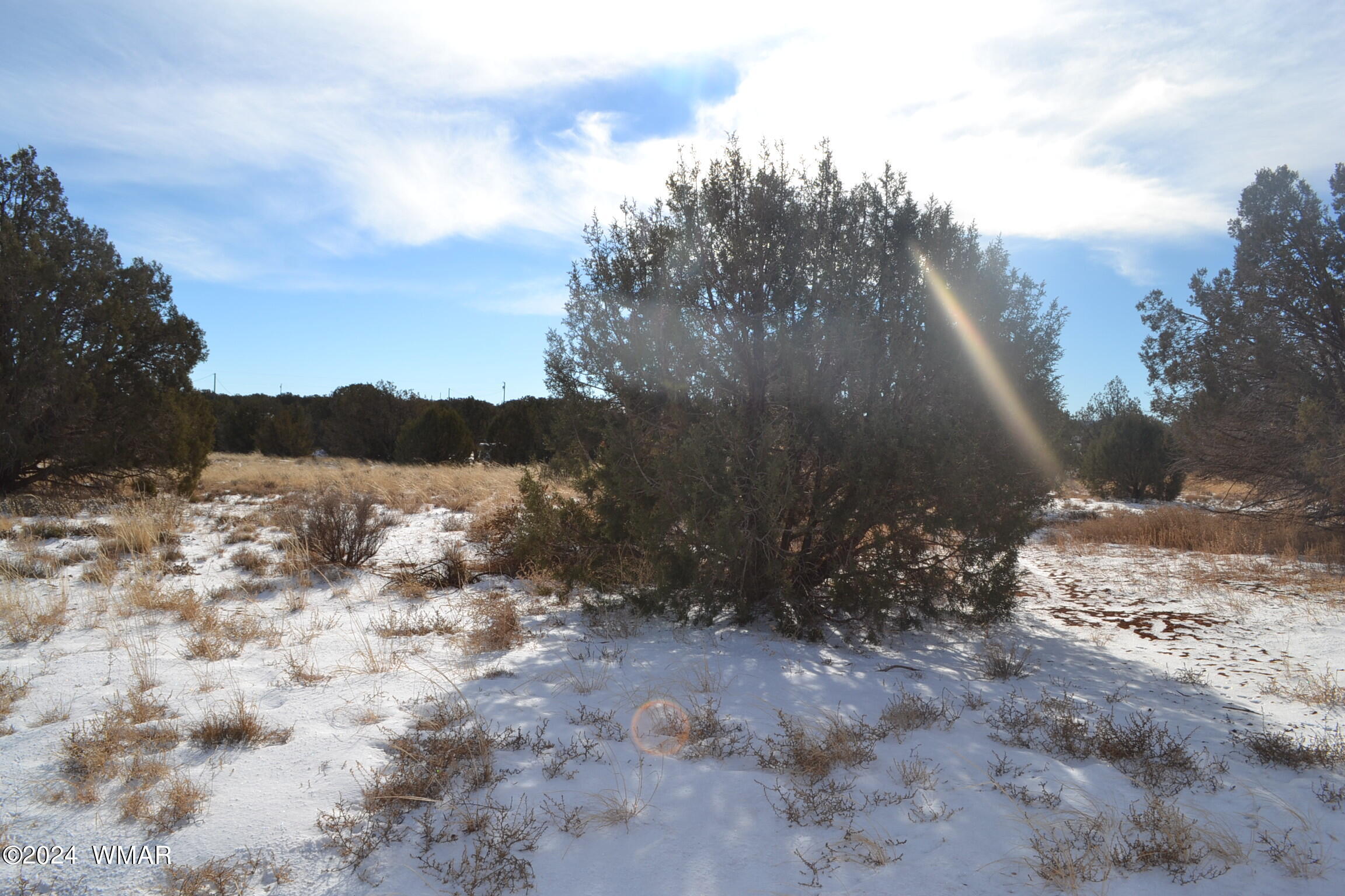 4401 Clydesdale Road Snowflake, AZ 85937 - Photo 4 of 13 a view of a yard with a tree
