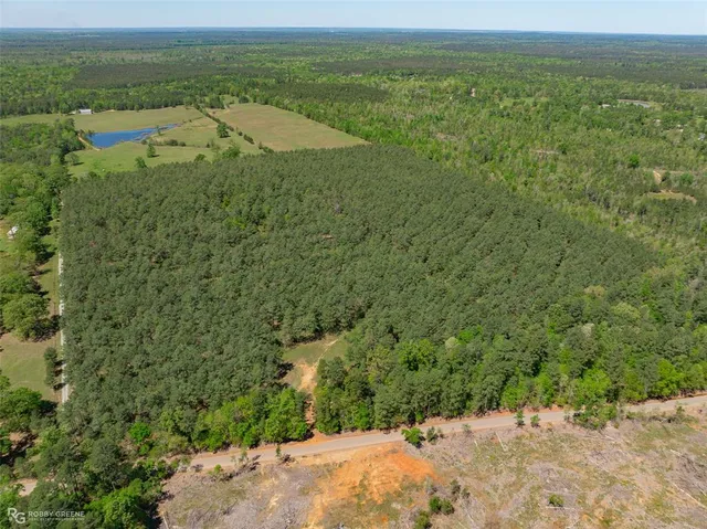 a view of a field with an ocean