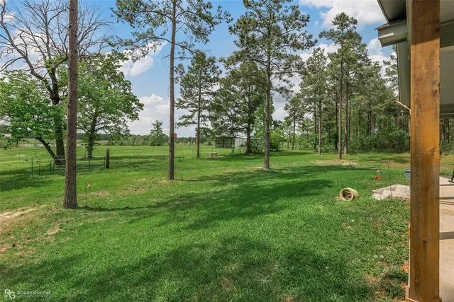 a view of a park with large trees