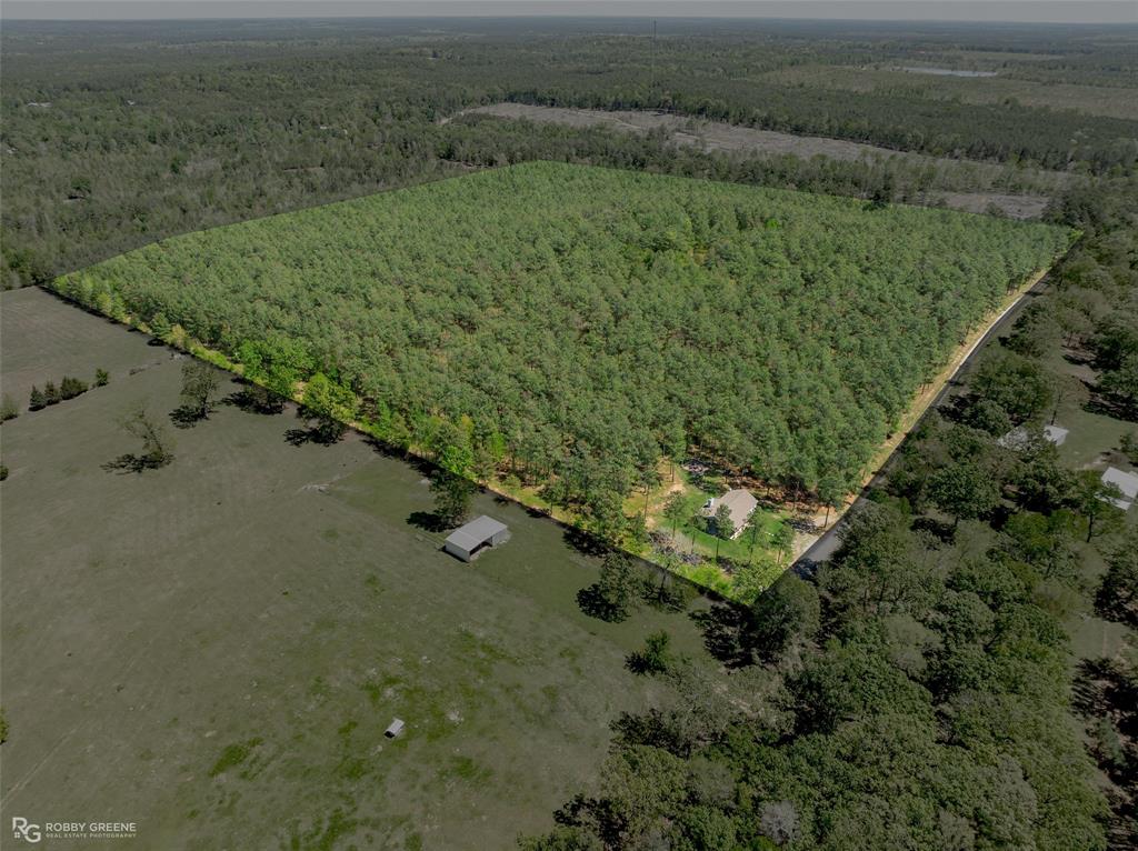 260 Circle M Road Benton, LA 71006 - Photo 9 of 35 a view of a forest with a yard