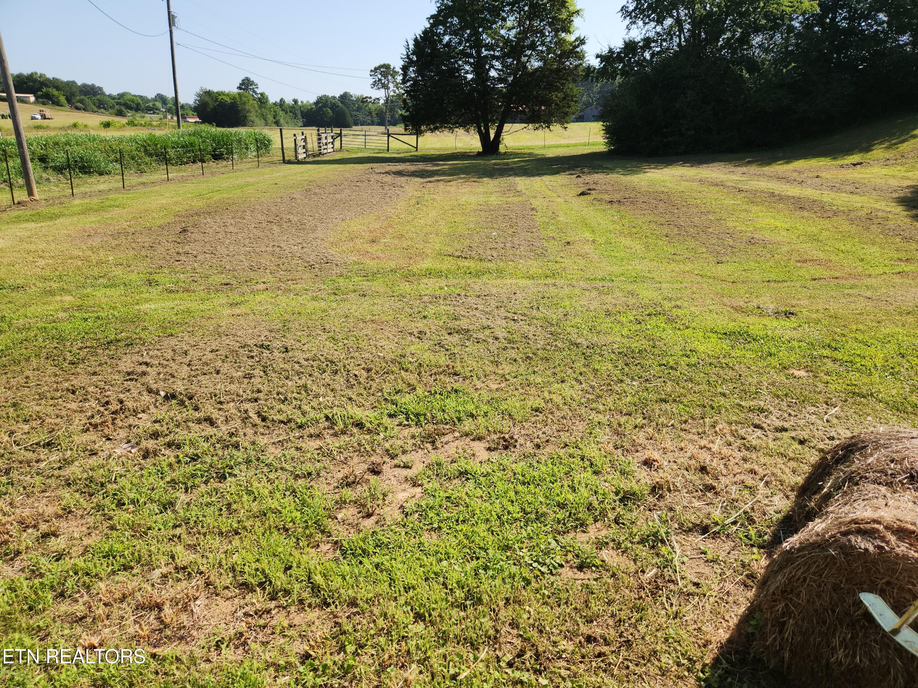 2734 Highway 39 Athens, TN 37303 - Photo 12 of 22 20260703_101851