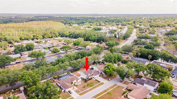 $3,250 | 16203 Fantasia Drive, Tampa, FL 33624