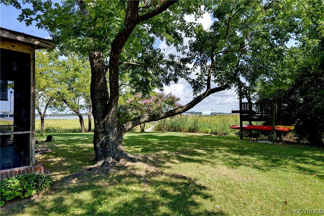 528 10th Street West Point, VA 23181 - Photo 31 of 50 a view of a tree in front of a house with a big yard