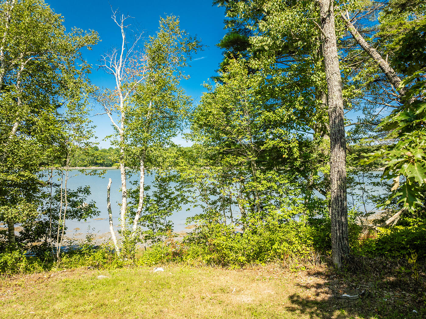 640 River Road Tenants Harbor, ME 04860 - Photo 51 of 75 DJI_0916