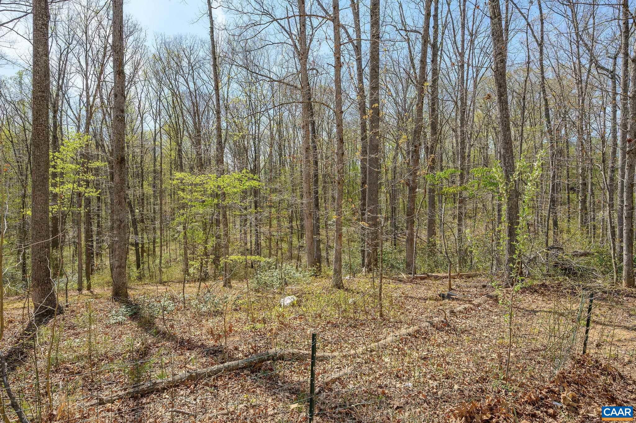 266 Swift Run Road Ruckersville, VA 22968 - Photo 16 of 35 Gallery Image 16