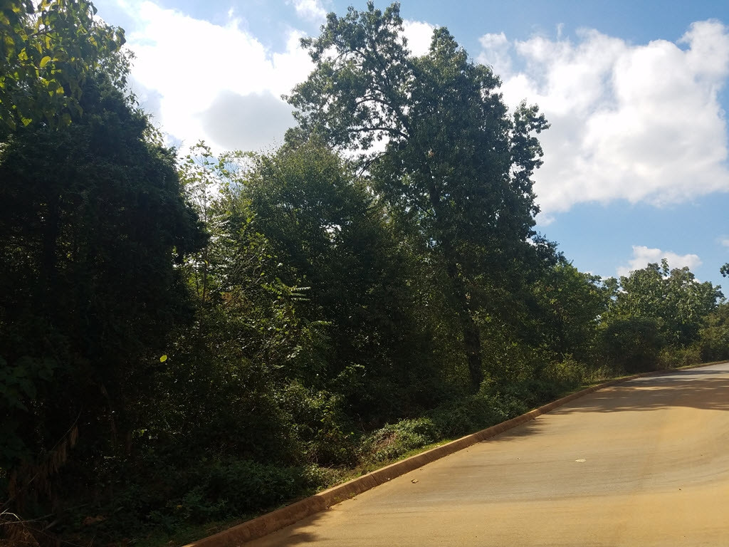 Lot 26 Aidans Trail, Unit 26 Rutledge, TN 37861 - Photo 12 of 30 Photo 12