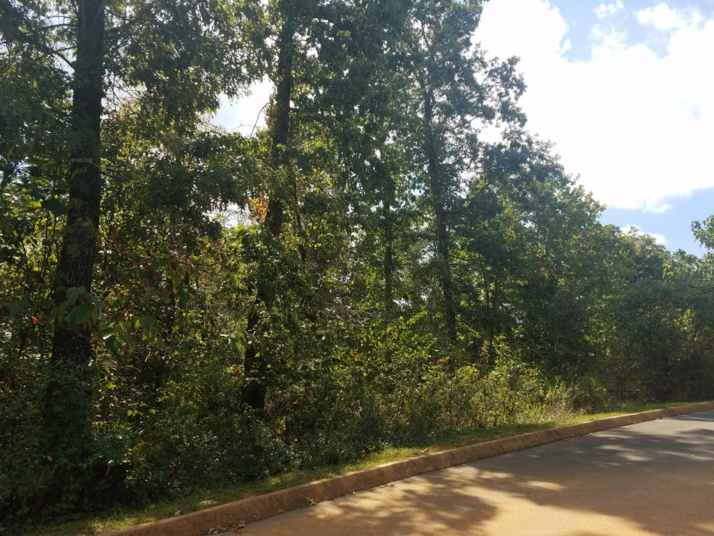 Lot 26 Aidans Trail, Unit 26 Rutledge, TN 37861 - Photo 13 of 30 Photo 13