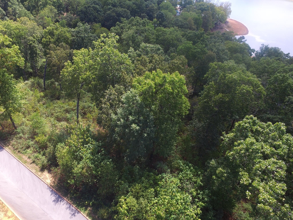 Lot 26 Aidans Trail, Unit 26 Rutledge, TN 37861 - Photo 22 of 30 Photo 22
