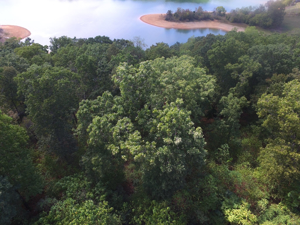 Lot 26 Aidans Trail, Unit 26 Rutledge, TN 37861 - Photo 23 of 30 Photo 23