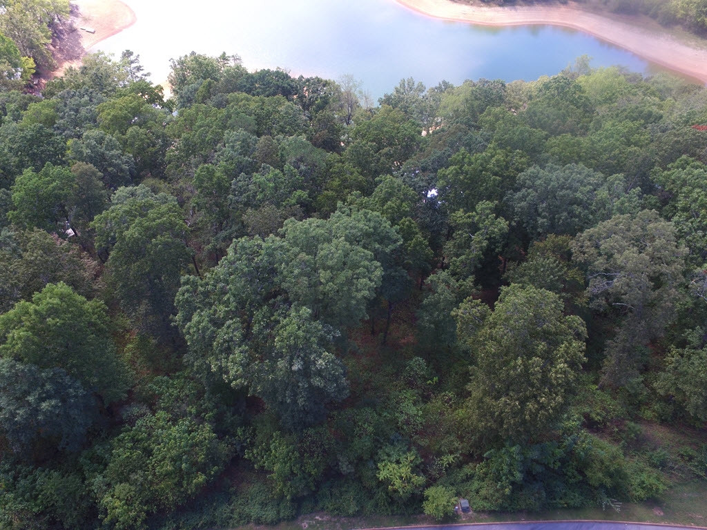 Lot 26 Aidans Trail, Unit 26 Rutledge, TN 37861 - Photo 28 of 30 Photo 28