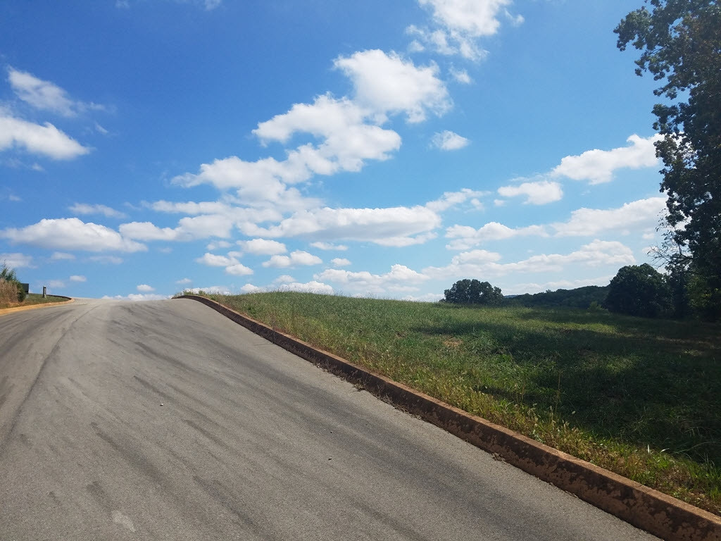 Lot 26 Aidans Trail, Unit 26 Rutledge, TN 37861 - Photo 6 of 30 Photo 6