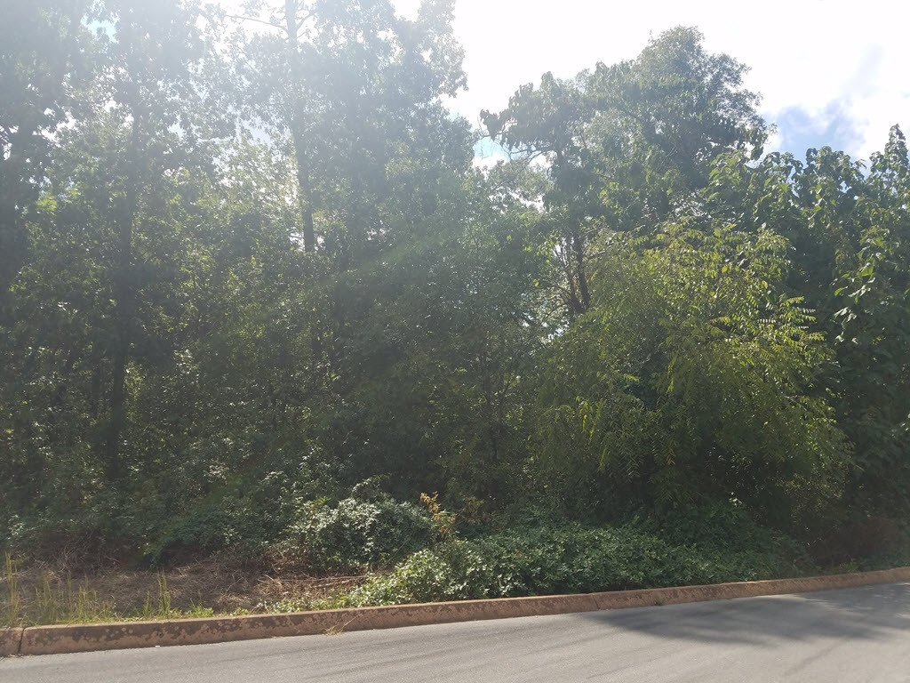 Lot 26 Aidans Trail, Unit 26 Rutledge, TN 37861 - Photo 7 of 30 Photo 7