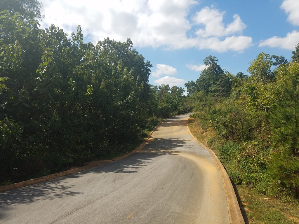 Lot 26 Aidans Trail, Unit 26 Rutledge, TN 37861 - Photo 10 of 30 Photo 10