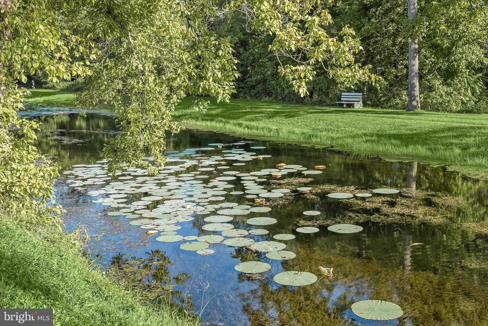 212 Terrace Street Hancock, MD 21750 - Photo 49 of 67 C&O Canal
