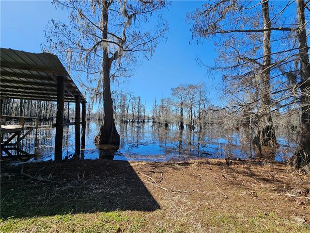 577 Collins Camp Road Winnfield, LA 71483 - Photo 2 of 28