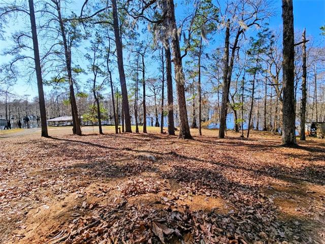577 Collins Camp Road Winnfield, LA 71483 - Photo 27 of 28