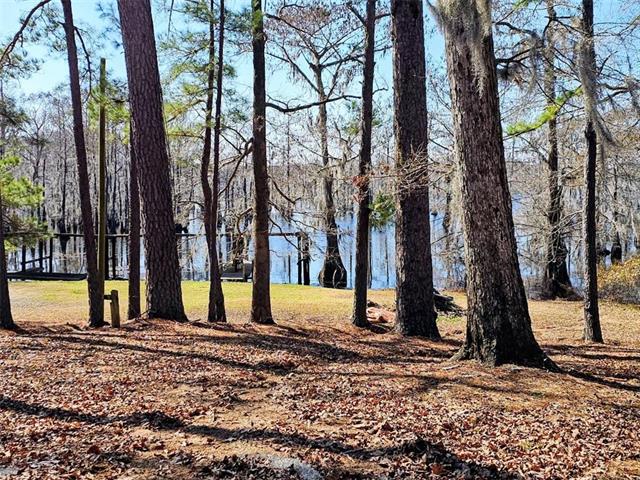 577 Collins Camp Road Winnfield, LA 71483 - Photo 3 of 28